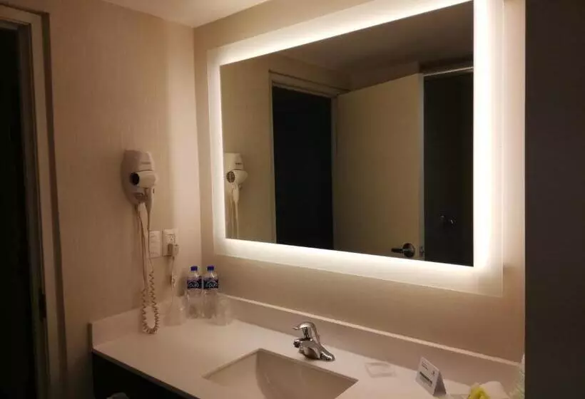 ホテル Holiday Inn Tampico Altamira, An Ihg