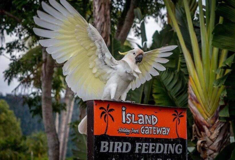 Отель Tasman Holiday Parks   Airlie Beach