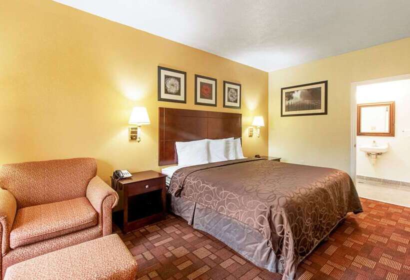 酒店 Quality Inn & Suites