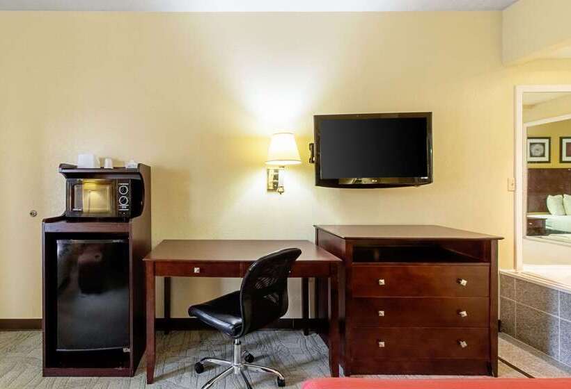 酒店 Quality Inn & Suites