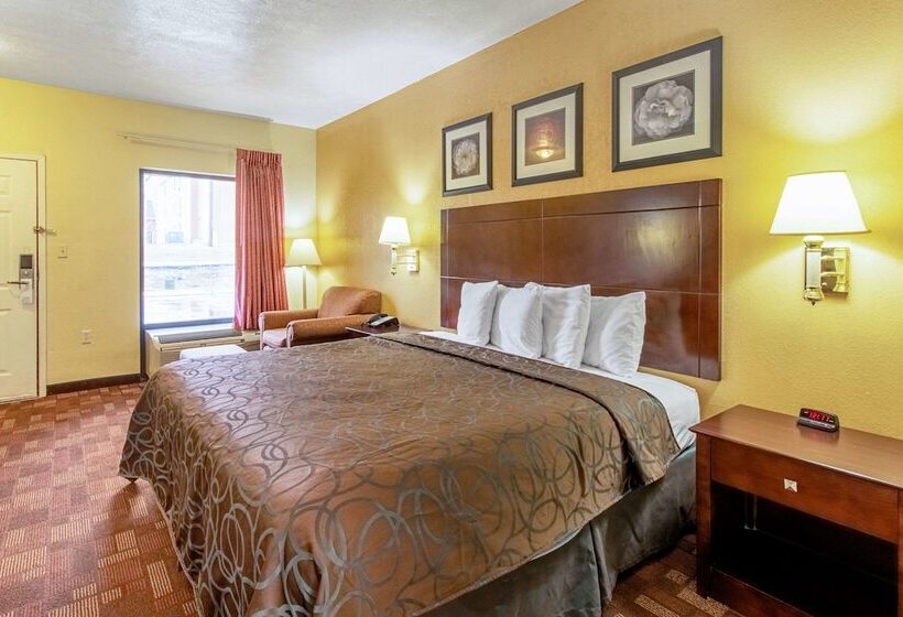 酒店 Quality Inn & Suites