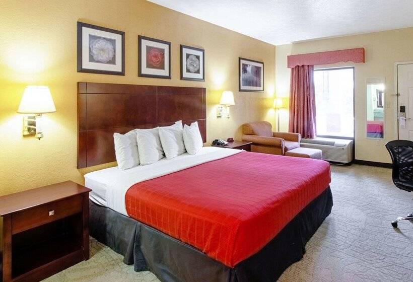 酒店 Quality Inn & Suites