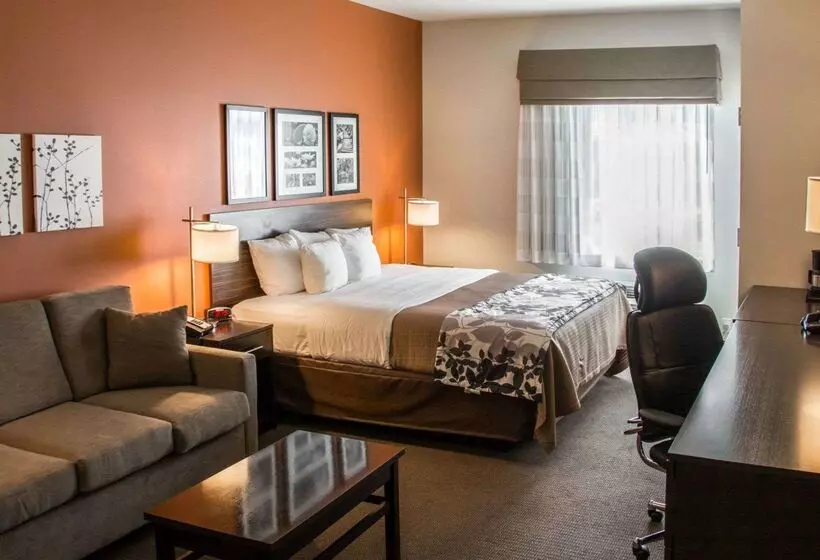 Hotel Sleep Inn & Suites Medical Center