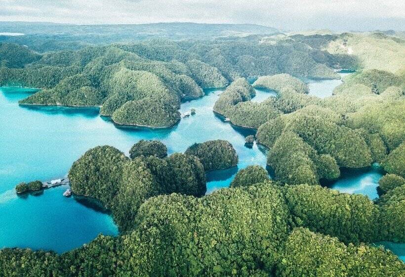 Szálloda Club Tara Island Resort