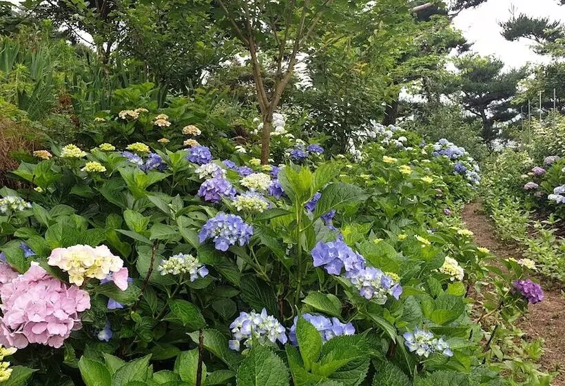 ホテル Golmangtae