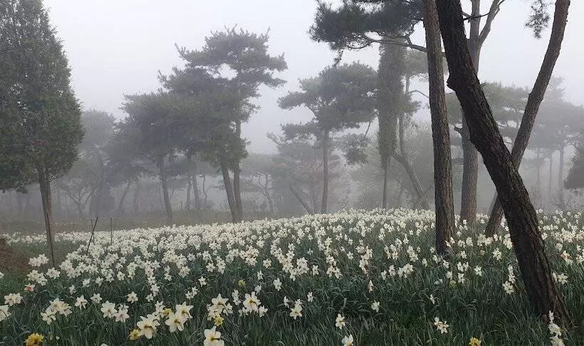 ホテル Golmangtae