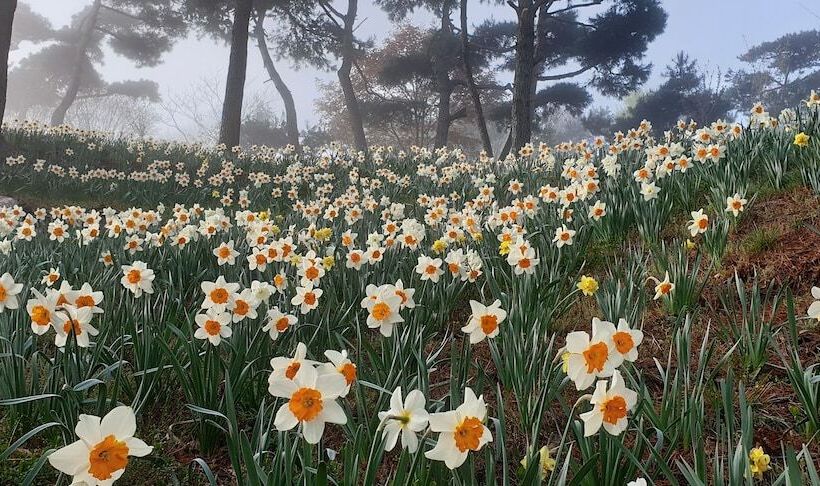 Отель Golmangtae