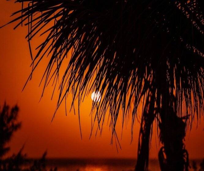 Naay Boutique Hotel Holbox