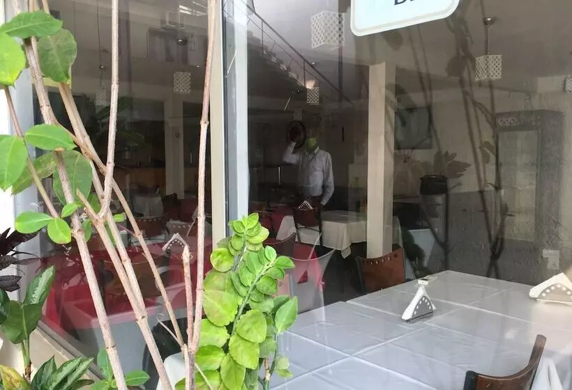 هتل Mivena   On Airport Street