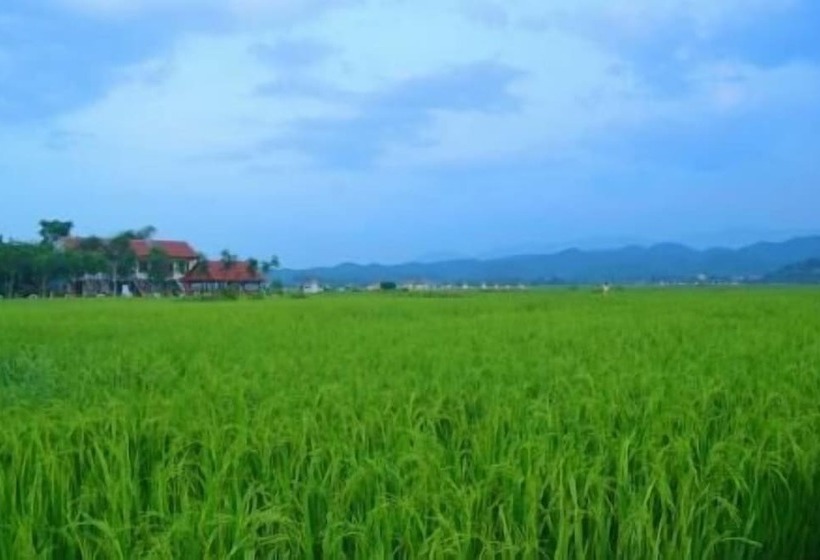 هتل Sy's Homestay