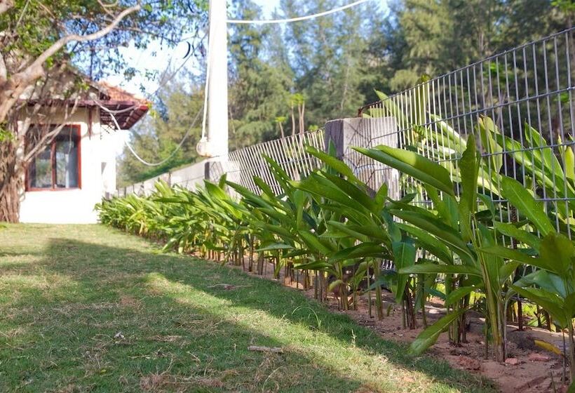 هتل The Beach House Resort