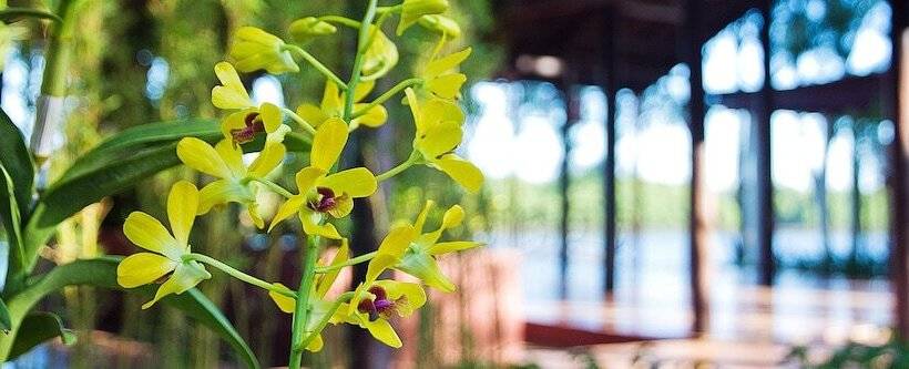 هتل The Beach House Resort