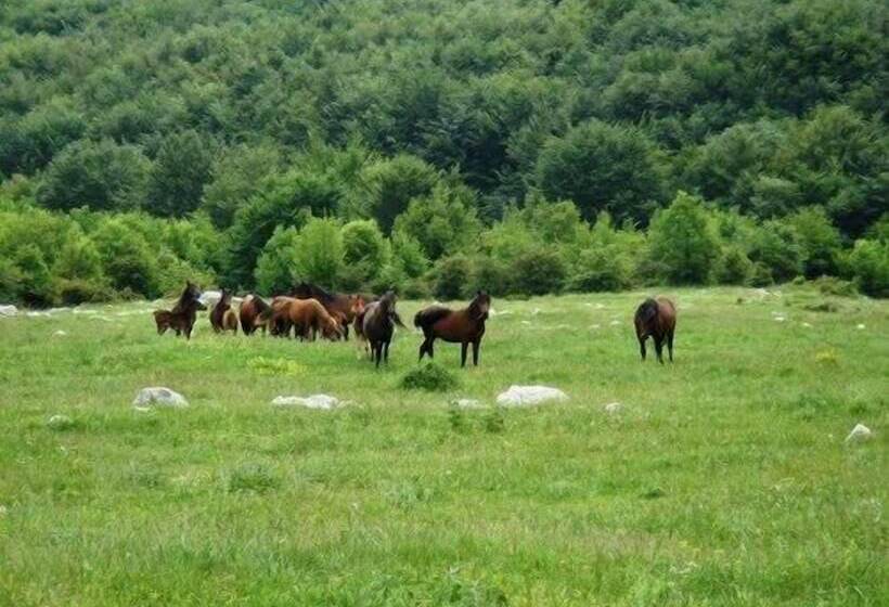 ホテル To Archontiko Guesthouse Villa