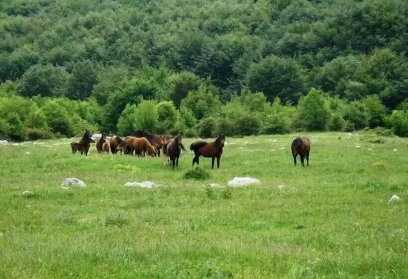 Hotelli To Archontiko Guesthouse Villa