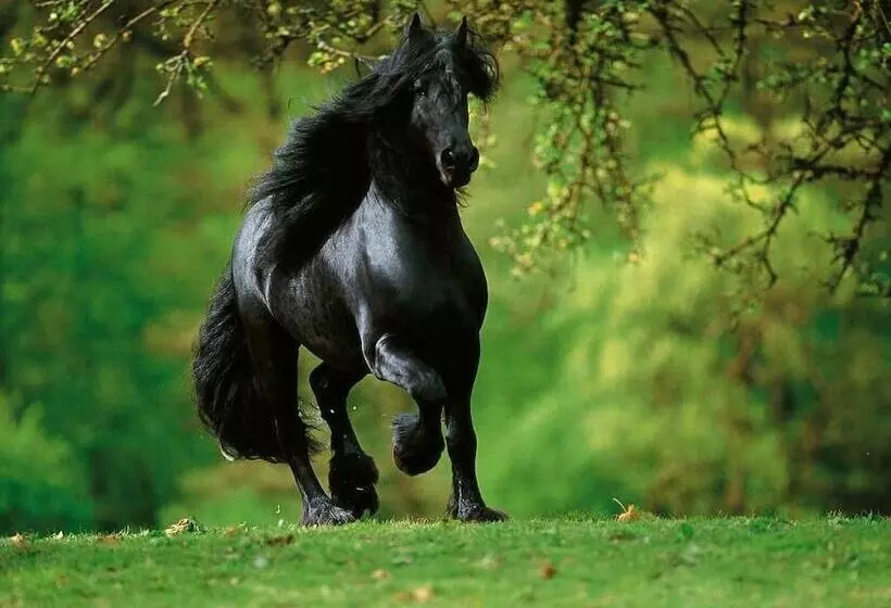 Hotelli To Archontiko Guesthouse Villa