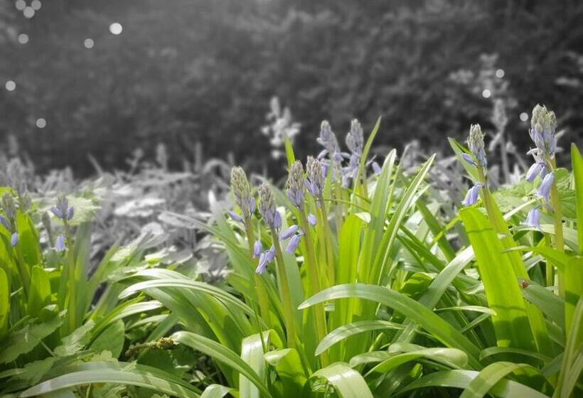 호텔 Graine De Rêves