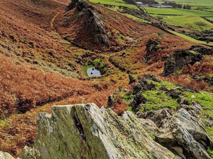 酒店 Wayside Cottage