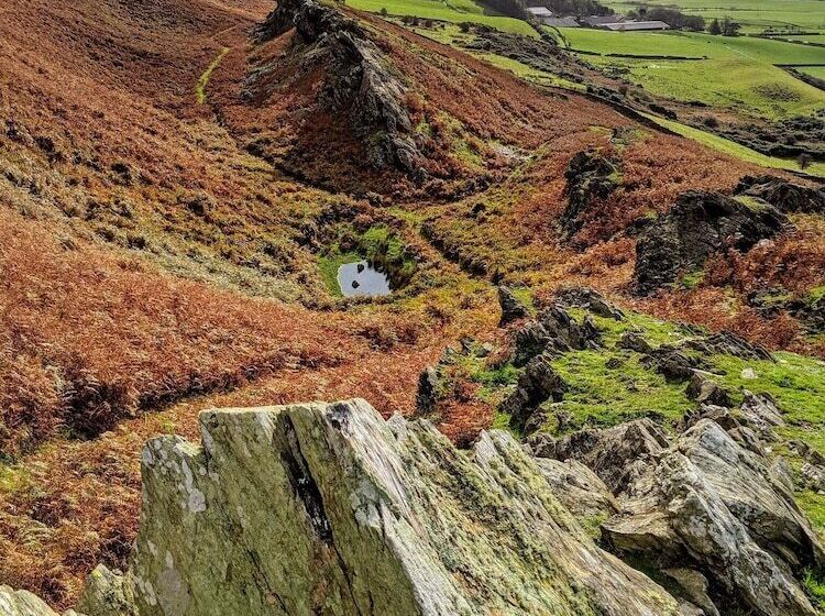 酒店 Wayside Cottage