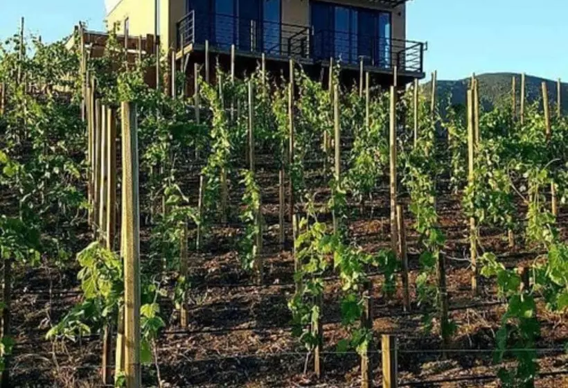 ホテル Cabañas Rancho Palos Verdes