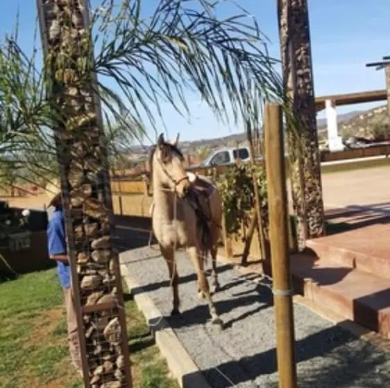 ホテル Cabañas Rancho Palos Verdes