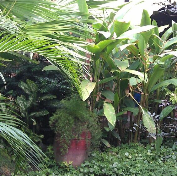 هتل Casa San Martin