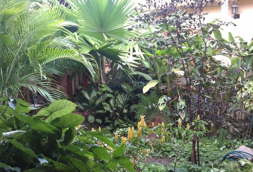 هتل Casa San Martin