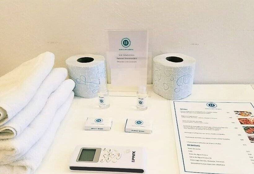 Hotel Downtown Merida