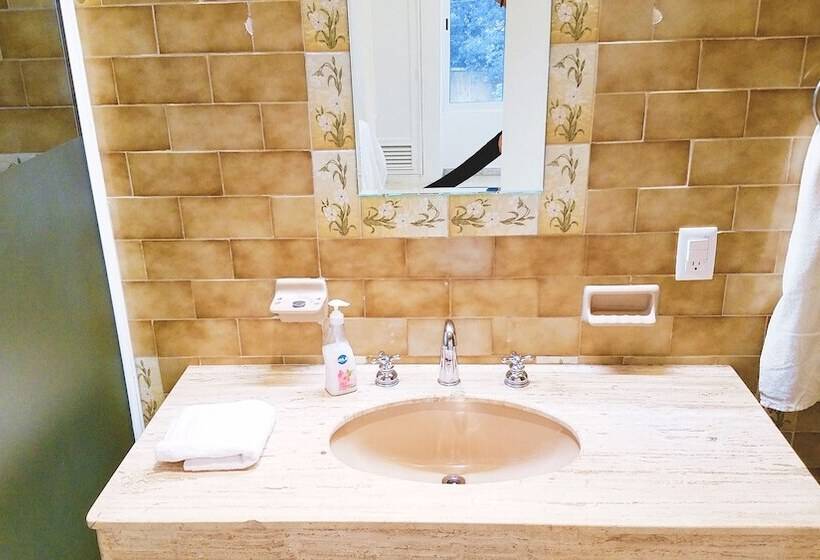 Hotel Downtown Merida