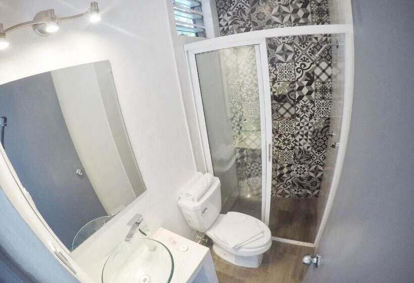 Hotel Downtown Merida