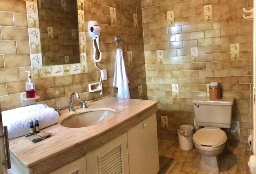 Hotel Downtown Merida