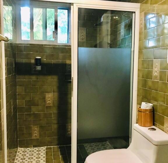 Hotel Downtown Merida