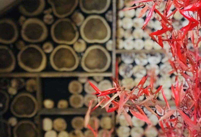 هتل La Posada Del Tiempo