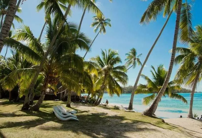 هتل Les Tipaniers