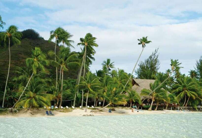 هتل Les Tipaniers