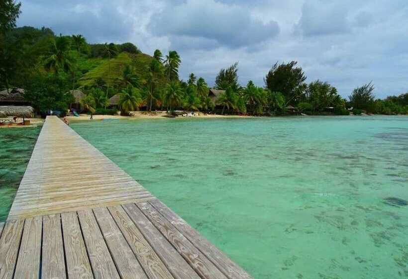 هتل Les Tipaniers