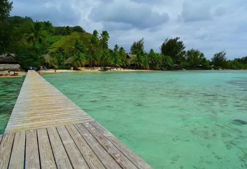 هتل Les Tipaniers