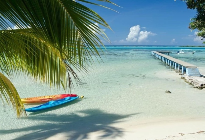 هتل Les Tipaniers