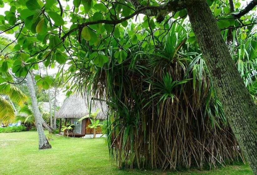 هتل Les Tipaniers