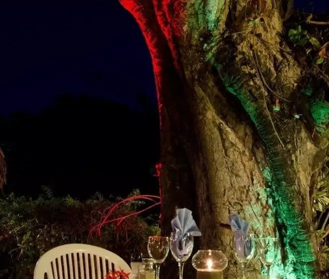 هتل Les Tipaniers