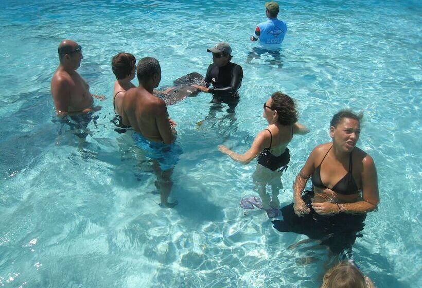 هتل Les Tipaniers