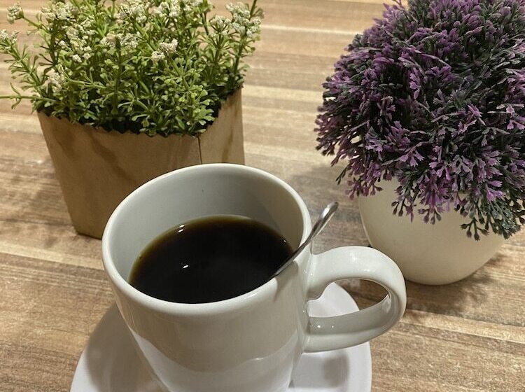 호텔 Maioris Navolato