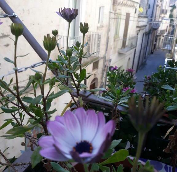 پانسیون Chicchinella