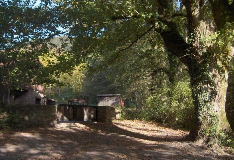 Pensão Hostal Itzalargikoborda