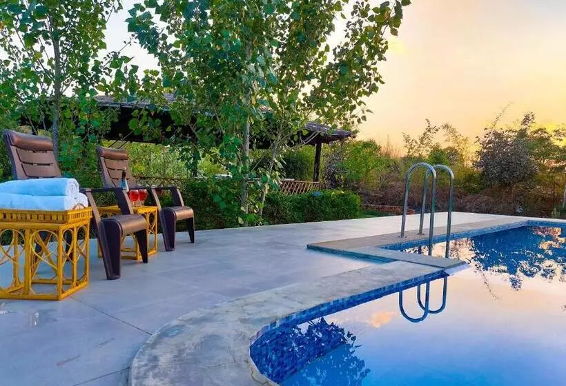 Hotelli Grand Narmada Jungle Homestay Resort Bandhavgarh