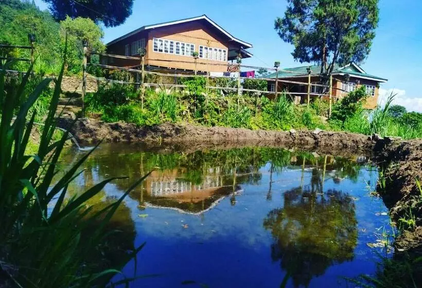 Escapade Hostel