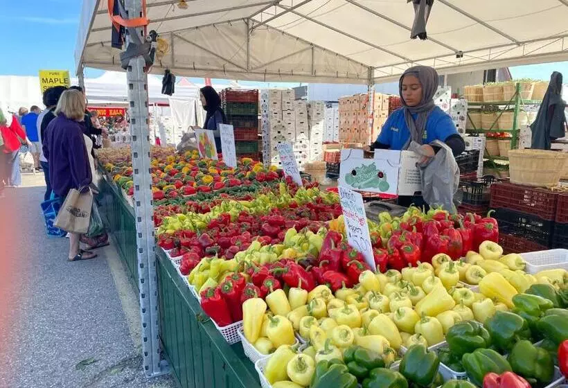 پانسیون Hammer Haus Iii