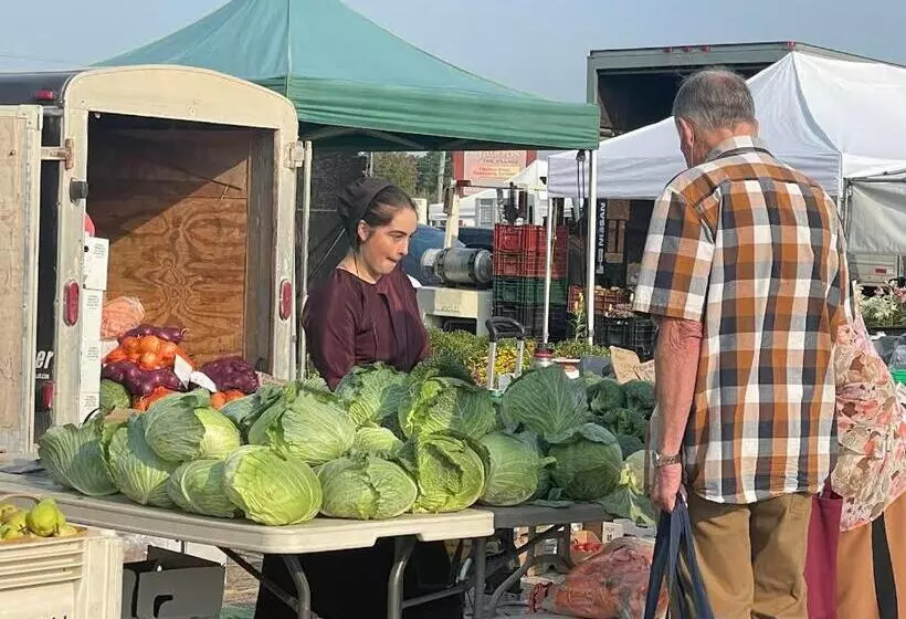 پانسیون Hammer Haus Iii