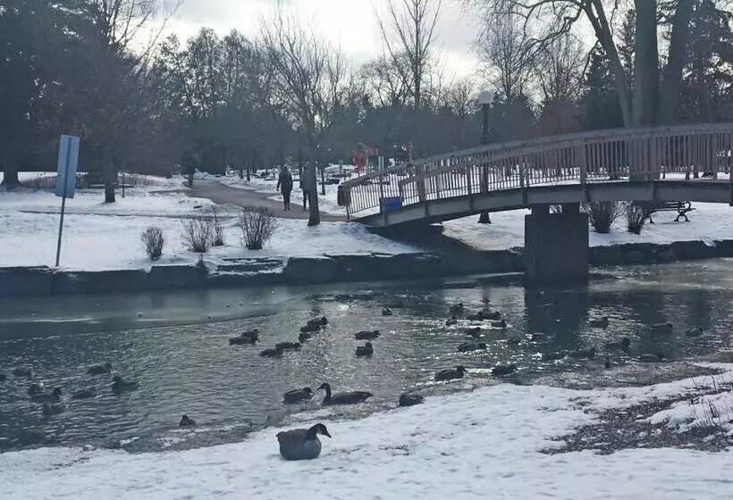 پانسیون Hammer Haus Iii