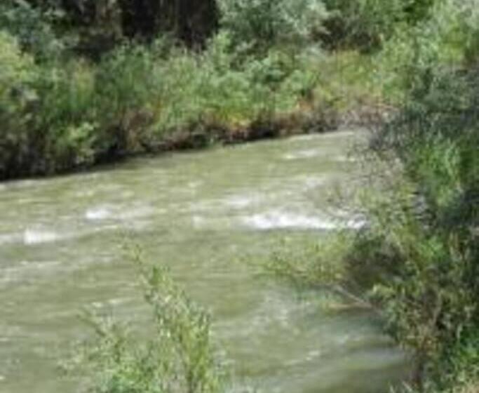 住宿加早餐 Quiet Full Size Bed Close To Town 420 Friendly