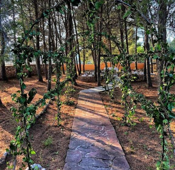 乡村酒店  Mas El Cuquello